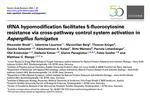 We have a new publication in Nucleic Acids Research!